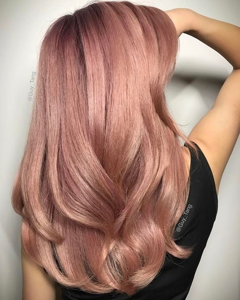 33.7k Likes, 168 Comments - Guy Tang® (@guy_tang) on Instagram: “#RoseGold for all the HairBesties in the land! 7RG and 9RG demi @guytang_mydentity colors and some…” Pastel Hair Colors, Gold Hair Colors, Hair Color Rose Gold, Makeup Tip, Luxy Hair, Guy Tang, Hair Color Pastel, Ombré Hair, Growth Tips