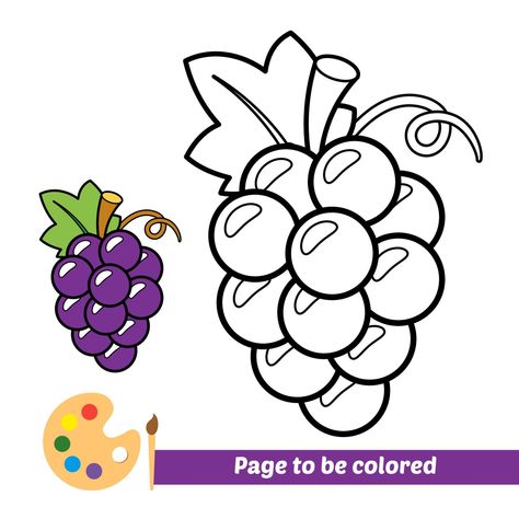 Coloring book for kids, grapes vector Grapes Coloring Page, Kids Colouring Printables, Grape Drawing, Kindergarten Drawing, Color By Number Printable, Oil Pastel Drawings Easy, Free Kids Coloring Pages, Easy Art For Kids, Fruit Coloring Pages