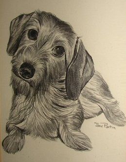 Dachshund Illustration, Pets Food, Pencil Drawing Ideas, Dachshund Art, Pet Tips, Weiner Dogs, Pet Hacks, Pet Portrait, Pencil Drawing