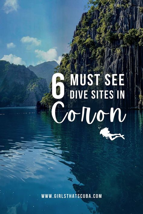 Scuba diving is one of the most popular things to do in the Philippines, and for those of us that are hardcore divers and want to explore some of the amazing wrecks of Coron here's all you need to know! Scuba Diving Philippines, Best Scuba Diving Destinations, Indonesia Diving, Indonesia Scuba Diving, Scuba Bcd, Popular Things, Scuba Diving Courses, Scuba Dive, Best Scuba Diving