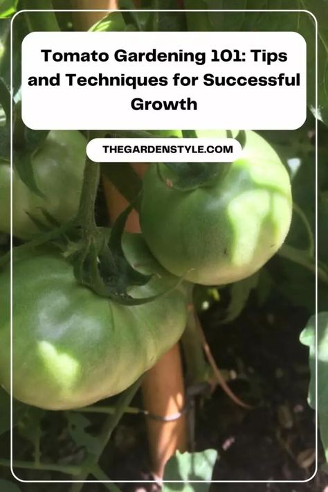 Growing Vegetables From Seeds, Hydroponic Tomatoes, Tomato Gardening, How To Grow Tomatoes, Tomato Seedlings, Grow Tomatoes, Seed Starting Mix, Vegetable Garden For Beginners, Thriving Garden