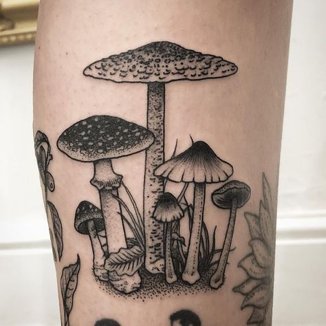 Barbie Lowenberg on Instagram: “🍄🍄🍄 for Natalie, thank you!” Mushroom Gap Filler Tattoo, Mushroom Skull, Mushroom Tattoo, Autumn Tattoo, Kunst Tattoos, Mushroom Tattoos, Elbow Tattoos, Ring Tattoos, Botanical Tattoo