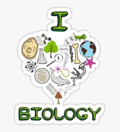 I love biology Sticker A Level Biology, Biology Classroom, Science Stickers, Biology Art, Biology Notes, Acrylic Nail Kit, Tumblr Stickers, School Stickers, Science Classroom