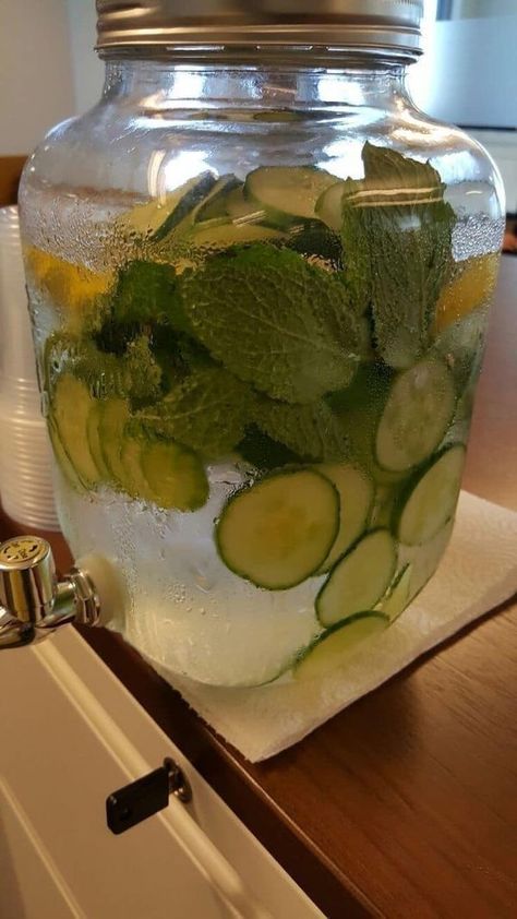 Aesthetically HER 🥂🩷 | 15 Days Fruit 🥭🫐 & Water 💧No fast food, liquor or bs | Facebook No Fast Food, Cucumber Detox Water, Lemon Juice Benefits, Junk Foods, Healthy Water Drinks, Fruit Smoothie Recipes Healthy, Cucumber Water, Get Rid Of Warts, Water Aesthetic