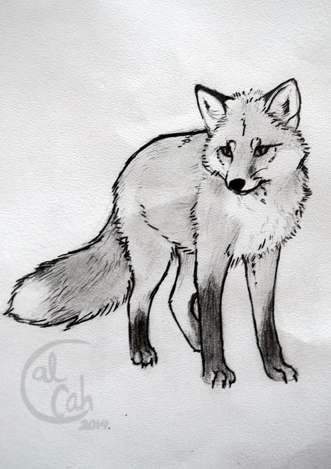 Fox sketch Fox Sketch, Fox Artwork, Art Fox, Fox Drawing, Animal Drawings Sketches, Fox Pictures, Fox Tattoo, Tattoo Sketch, Realism Tattoo