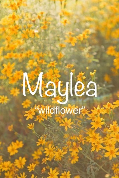 Hazel Name Aesthetic, Wildflower Names, Names With Beautiful Meanings, Mystical Names, Meaningful Baby Names, Fantasy Character Names, Female Character Names