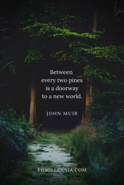 Sunday gratitude! 🙏🥰 Happy... - M.G. Williams - Writer Take Me To The Woods Quotes, Magic Forest Quotes, Quotes About The Woods, Quotes About Forest, Beautiful World Quotes, In The Woods Quotes, New World Quotes, The Woods Quotes, John Muir Quotes Nature