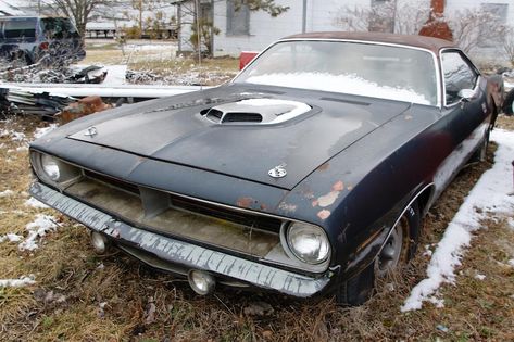 Yes, This is a 1970 Hemi ’Cuda. And, Yes, It’s Wasting Away Outside: With Video!