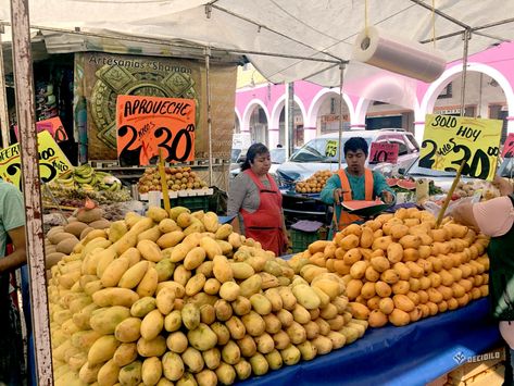 ¿Qué conocer en Teotihuacán además de las pirámides? - Tianguis feria de frutas Food Cart, United Nations, Outer Space, Tulum, Street Food, The Unit