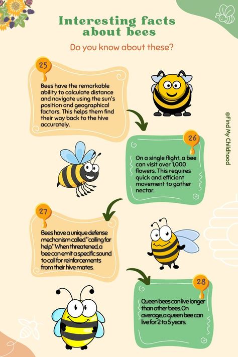 Interesting facts about bees Facts About Bees, Fun Facts About Bees, Male Bee, Storing Eggs, Bee Life Cycle, Types Of Honey, Worker Bee, Bee Colony, Honey Bees