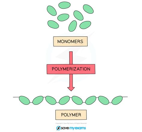 Polymers Chemistry Notes, Polymers Chemistry, Polymer Chemistry, Chemistry Revision, Molecular Mass, Chemistry Projects, Covalent Bonding, Chemistry Notes, Revision Notes