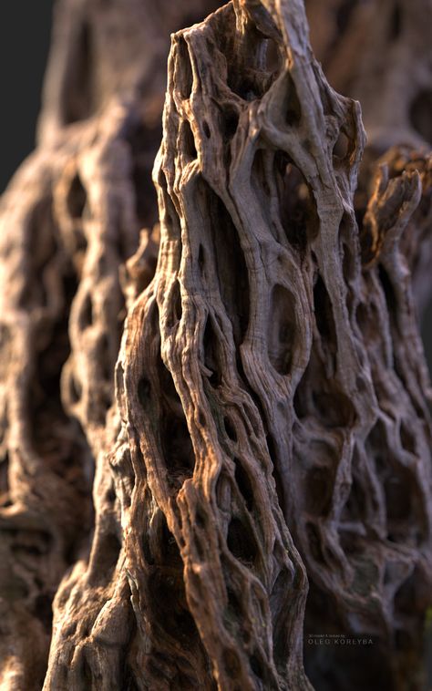 ArtStation - Ancient olive Tree #2 Two thousand years old, · K O R E Y B A · Earth Texture, Organic Structure, Tree Textures, Natural Structures, Texture Inspiration, Old Tree, Organic Pattern, Ancient Tree, Old Trees