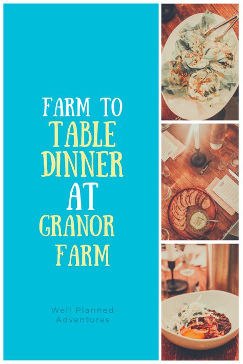 Three Oaks Michigan, Farmhouse Dinner, Southwest Michigan, Cheese Course, Squash Puree, Pasture Raised Eggs, Family Style Meals, Farm Tour, Roast Pumpkin