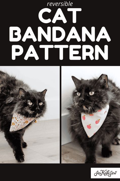 Cat Bandana Sewing Pattern - see kate sew Bandana Sewing Pattern, Cat Scarf Pattern, Cat Diy Crafts, Scarf Sewing Pattern, Bandanas Diy, Fund Raiser, Baby Boy Christmas, Dog Doll, Cat Scarf