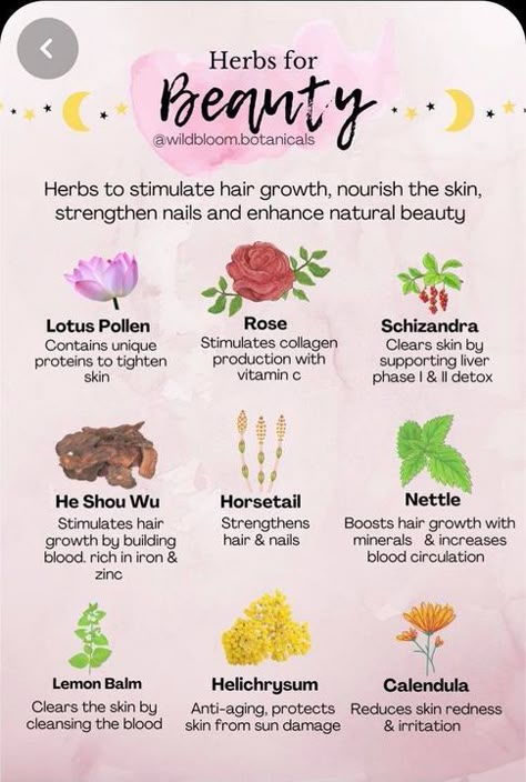 Herbs For Beauty, Benefits Of Herbs, Medical Herbs, Magic Herbs, Magical Herbs, Herbal Apothecary, Natural Healing Remedies, Herbal Healing, Herbal Magic