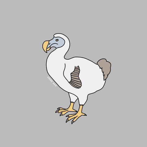 #KhineDev #art #ibispaintx #drawing #draw #cartoon #digitalart #artwork #illustration #doodle #cartoon #cartoonart #dodo #dodochallenge #bird #birds #rarebird #rare #extinct #extinction #drawdodo #color #coloring Dodo Bird Drawing, Dodo Drawing, Dodo Tattoo, Dodo Bird, Patch Ideas, Extinct Animals, Tattoo Flash Art, Kawaii Animals, Flash Art