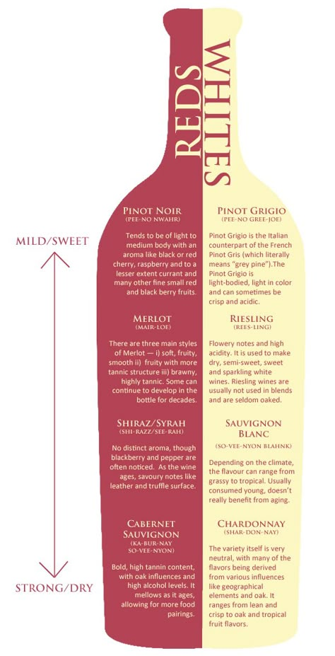 Wine Chart - Pair your favorite Italian dishes with the best wine for the flavors. Wine Chart, Wine Guide, Mugs Gift, Unique Tea, Berry Fruit, Wine Cheese, Wine Time, Cup Tea, Riesling