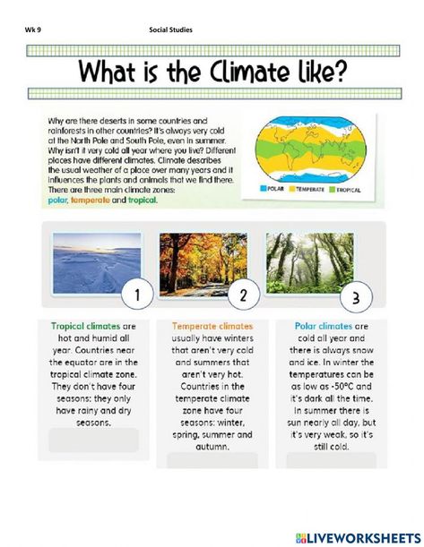 Climate zones activity Weather Vs Climate, Climate Activities, Environment Activities, What Is Climate, Teaching Weather, Earth Science Lessons, Halloween Parejas, Polar Climate, Continents And Oceans