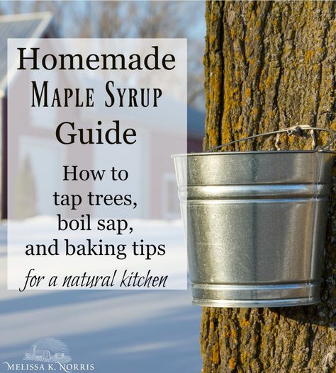 How To Make Maple Syrup, Easy Blueberry Crumble, Tree Tapping, Make Syrup, Maple Tapping, Tapping Maple Trees, Homemade Maple Syrup, Maple Sugaring, Homesteading Life