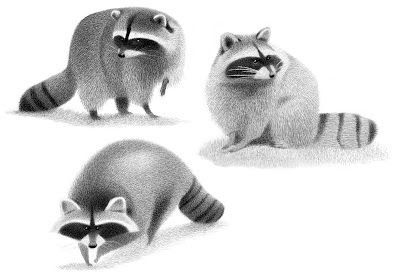 Heidi Smith: 2017 Cute Raccoon Illustration, Raccoon Character Design, Racoon Drawings, Raccoon Sketch, Raccoon Character, Racoon Illustration, Raccoon Drawing, Raccoon Illustration, Raccoon Art