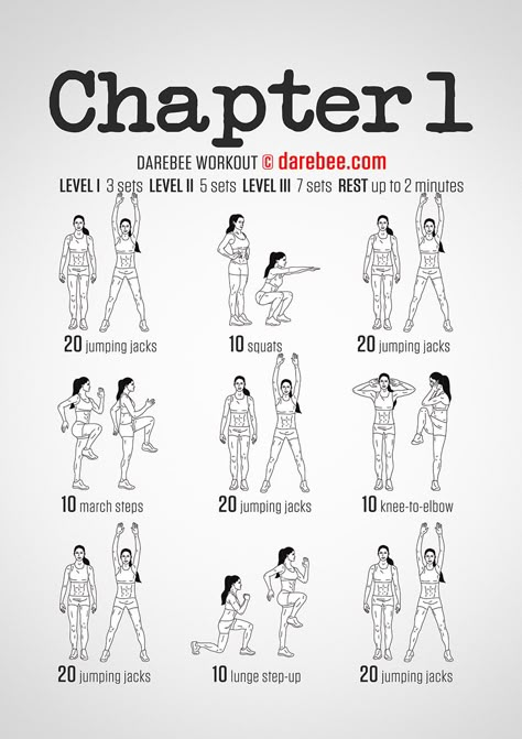 Chapter 1 Workout Cardiovascular system, aerobic performance. High burn streamline. 2/5. Everyone deserves a fresh start and the Chapter 1 workout gently eases you back into the fitness groove without forcing you too far from your comfort zone. It works all the major muscle groups, raising your body temperature and it even works you aerobically to some extent, giving you a workout that's a sound foundation to build your future fitness needs on.   Extra Credit: 30 seconds rest between sets. Darbee Workout, Starter Workout, Cardiovascular Exercises, Gentle Workout, Extra Credit, Aerobics Workout, Cardiovascular System, At Home Workout Plan, Free Workouts