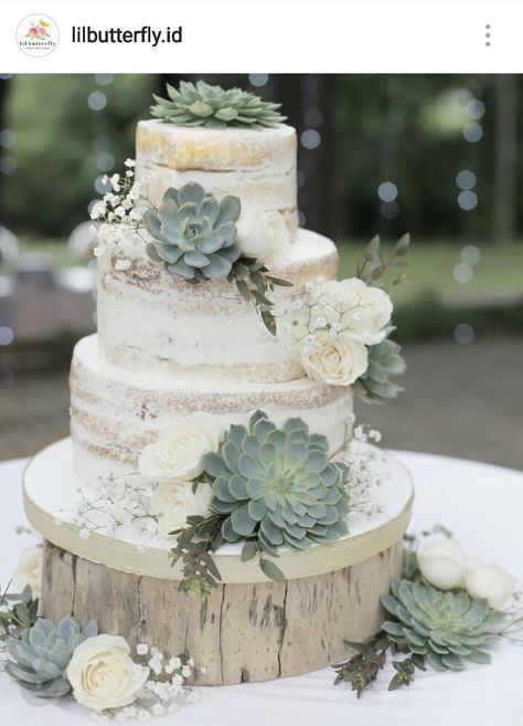 Naked succulent cake Jojo Wedding, Succulent Wedding Cakes, Vintage Pasta, Succulent Cake, Cactus Cake, Country Wedding Cakes, Spring Cake, Amazing Wedding Cakes, Wedding Cake Rustic