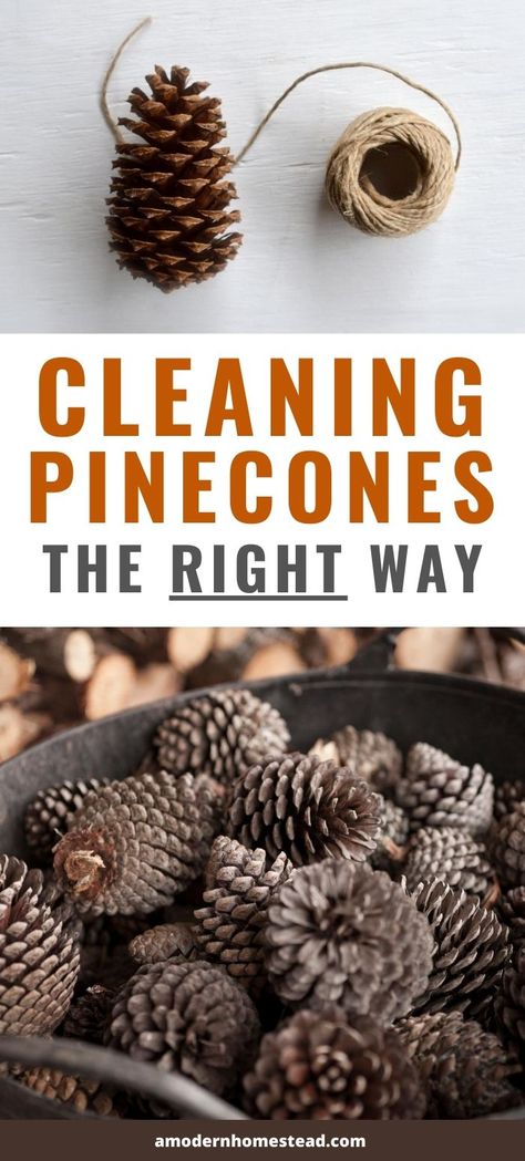 Fall Decor Ideas Using Pine Cones, Craft Ideas For Pine Cones, Pine Decorations Christmas, Pine One Fall Crafts, Autumn Pinecone Crafts, Pine Cone Projects Ideas, How To Wash Pinecones, Crafting With Pinecones, Decorate With Pinecones