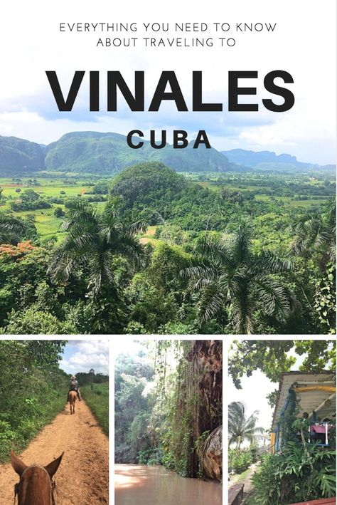 Cuba Vinales, Vinales Cuba, Cuba Island, Cuba Itinerary, Cuba Vacation, Cuba Beaches, Visit Cuba, Havana Nights, Vinales