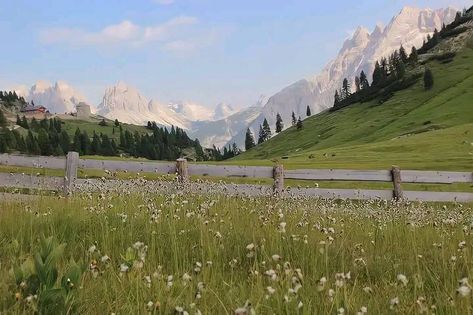 tags* #nature #spring #flowers #mountains #field #aesthetic Nature Desktop, Field Wallpaper, Adorable Pictures, Wallpaper Hp, Mac Wallpaper, Spring Wallpaper, Landscape Background, Macbook Wallpaper, Nature Backgrounds