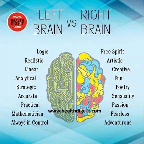 Right brain ALL the way Left Vs Right Brain, Brain Anatomy And Function, Left And Right Brain, Left Brain Right Brain, Spiritual Direction, Brain Images, Left Brain, The Dictator, Brain Facts