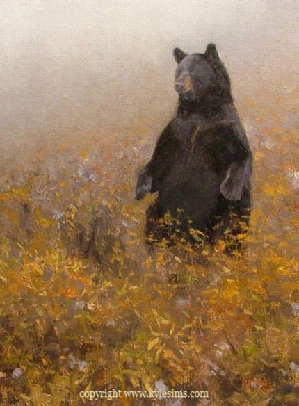 Available and sold Black Bear paintings by Kyle Sims Black Bear Painting Acrylic Easy, Brown Bear Painting, Black Bear Painting, Bear Oil Painting, Black Bear Art, Black Bears Art, Virginia Wolf, Bear Painting, Bear Artwork