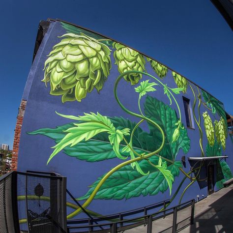 Mona Caron no Instagram: “#hops #luppolo #lupulus #hopfen, creeping up and around the corner... Been painting this while steeped in the floral aroma of fresh hops…” Brewery Design, Beer Wall, Garden Mural, Tropical Painting, Beer Art, Beer Pub, To My Friends, Amazing Street Art, Colorado Usa