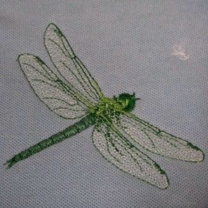 Dragonfly Embroidery Design, Dragonfly Embroidery, Sewing Designs, Traditional Homes, Green Dragonfly, Dragonfly Art, Dragonflies Design, Embroidery Monogram, Stitch Book