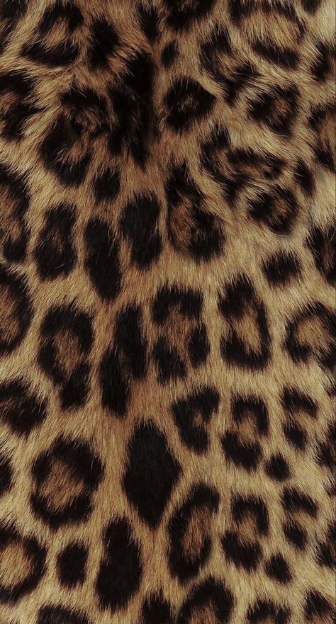 Cheetah Widget Aesthetic, Glamour Aesthetic Wallpaper, Cheetah Print Pfp, Leopard Wallpaper Iphone, Coach Background, Leopard Print Background Wallpaper, Cheetah Print Aesthetic, 2014 Wallpaper, Glamour Wallpaper