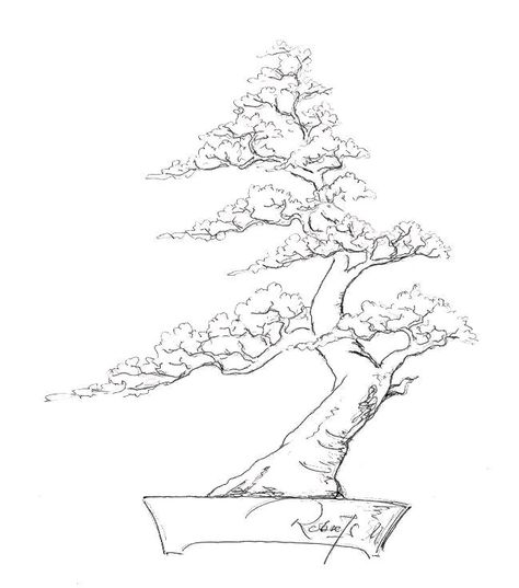 Bonsai Tree Drawing Sketches, Bonsai Sketch, Mix Drawing, Tree Props, Tattoo Tree, Urban Garden Design, Cool Tattoo Drawings, Dantes Inferno, Forest Tattoos