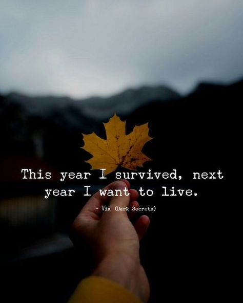 #mondaymotivation How appropriate is this - I hope we all can LIVE this year! (Of course this was a quote from the end of last year - but you get the drift!) #motivationmonday Self Love Spirituality, Inner Child Wounds, Love Spirituality, Inspirational Quotes Collection, Reality Of Life Quotes, Amazing Inspirational Quotes, Holiday Quotes, Lessons Learned In Life, Year Quotes