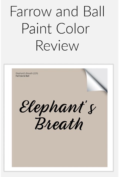 Farrow and Ball elephant's breath paint sample to pin Elephant Breath Farrow And Ball, Farrow And Ball Elephants Breath, Elephants Breath Paint, Neutral Wall Paint, Farrow And Ball Kitchen, Wall Paint Color, Warm Gray Paint, Cornforth White, Elephants Breath