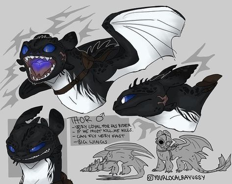 Mythical Creatures Drawings, Night Fury Dragon, Httyd Art, Dragon Sketch, Httyd Dragons, Dragon Trainer, Oc Art, Night Fury, Creature Drawings