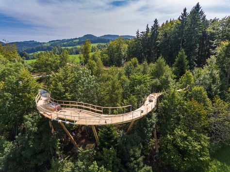 Switzerland gets its first treetop canopy walkway - Lonely Planet Treetop Walkway, Canopy Walkway, Sky Walk, St. Gallen, Pedestrian Bridge, Forest Park, Amazing Travel, Unesco World Heritage Site, Lonely Planet