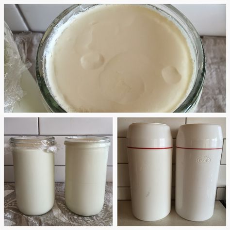 Home Made Yoghurt, Yoghurt Recipe, Dairy Products, Yummy Recipes, High Protein, Home Made, Glass Of Milk, My Home, A Food