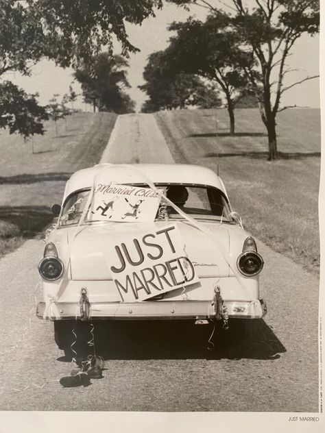 Cross Canvas Art, Fox Terrier Puppy, Just Married Sign, Just Married Car, Lion Canvas Art, Wedding Cars, Cat Wedding, Lion Canvas, Vintage Medical