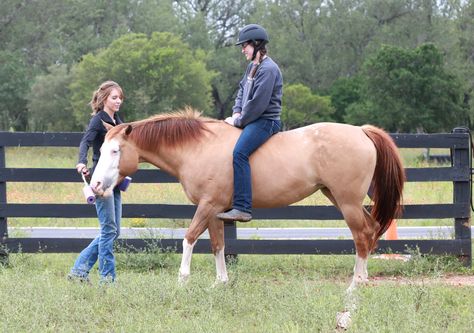 Positive Reinforcement Horse Training, Horse Liberty Training, Mustang Makeover, Western Horses, Time And Patience, Farm Lifestyle, Horse Aesthetic, Star Stable, 2025 Vision