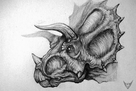 Cartoon Triceratops, Triceratops Head, Head Drawings, Dinosaur Sketch, Dinosaur Tattoos, Realistic Cartoons, Dinosaur Images, Draw Cartoon, Dinosaur Drawing