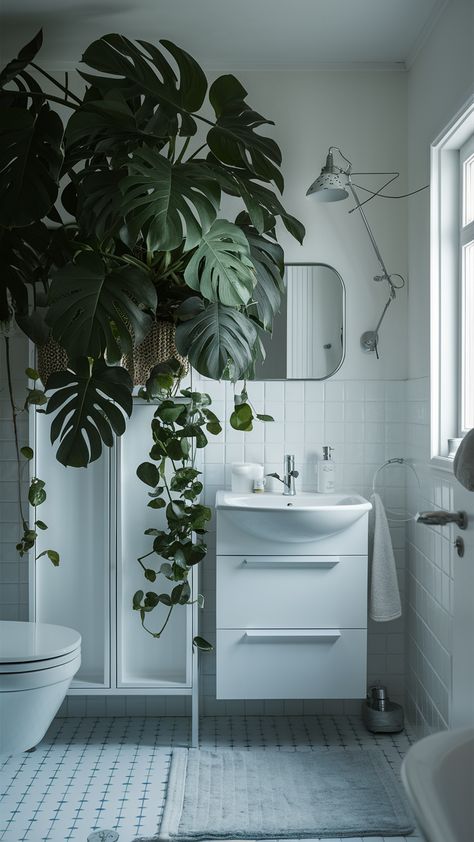 Elevate your bathroom's aesthetic with the lush beauty of a Monstera plant thriving in an IKEA LILLÅNGEN wall cabinet. This serene space combines functionality and elegance, featuring a sleek GRUNDTAL mirror and a cozy VIKFJÄRD bath mat for that perfect touch. The whimsical STORJORM LED wall lamp adds personality while ensuring bright, even lighting for a refreshing atmosphere. Ready to create your own tranquil oasis? Dive into this stylish inspiration and let nature enhance your home! #BathroomInspiration #IKEAStyle #MonsteraMagic Ikea Style, Stylish Inspiration, Monstera Plant, Led Wall Lamp, Wall Cabinet, Led Wall, Bathroom Inspiration, Wall Lamp, Bath Mat