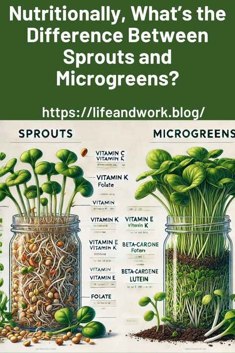 Sprouts Vs Microgreens nutrition What Are Microgreens, Lentil Microgreens, Microgreen Business, Microgreens Business, Microgreens Recipe, Growing Sprouts, Micro Greens, Growing Microgreens, Plant Medicine