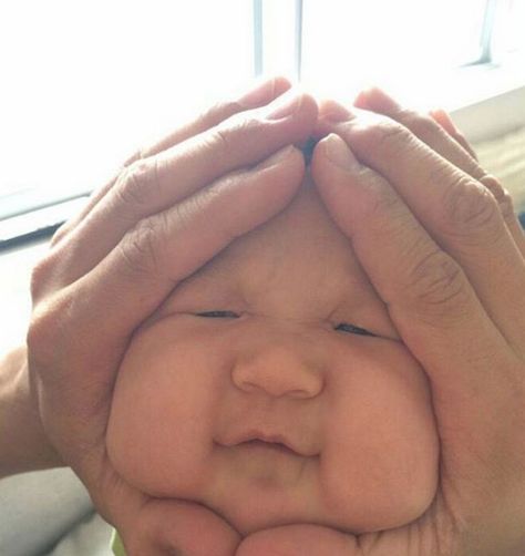 Squishy Baby Face Trend Angry Baby Face, Baby Face Meme, Funny Baby Faces, Angry Baby, Chubby Babies, Cute Asian Babies, Baby Faces, Baby Memes, Asian Babies