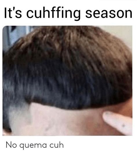 Edgar Cut Meme, Edgar Haircut, Edgar Cut, New Coming Soon, Branding Clothing, Haircut Names, Edgars Haircut, Xxxtentacion Quotes, Imperial Crown