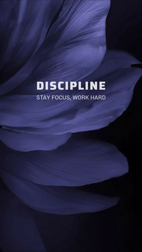 Discipline. Stay focus, work hard Focus Consistency Discipline, Stay Disciplined Wallpaper, Decipline Wallpaper Hd, Discipline Aesthetic Wallpaper, Focus On Yourself Wallpaper, Discipline Quotes Aesthetic, Study Focus Wallpaper, Consistency Wallpaper, Anime Speech