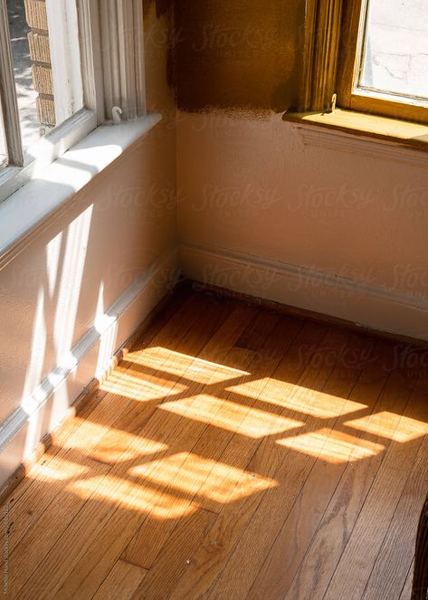 Process photo of room being painted a deep ochre yellow Hand Photography, Ochre Yellow, Room Painting, Room Paint, Painting Supplies, White Aesthetic, Painting Inspiration, Ceiling, Stock Photos