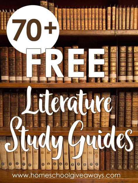 Dive Into Reading, Literature Unit Studies, Homeschool Highschool, Homeschool High School Curriculum, Literature Study Guides, Literature Study, High School Literature, Teaching Literature, Literary Theory